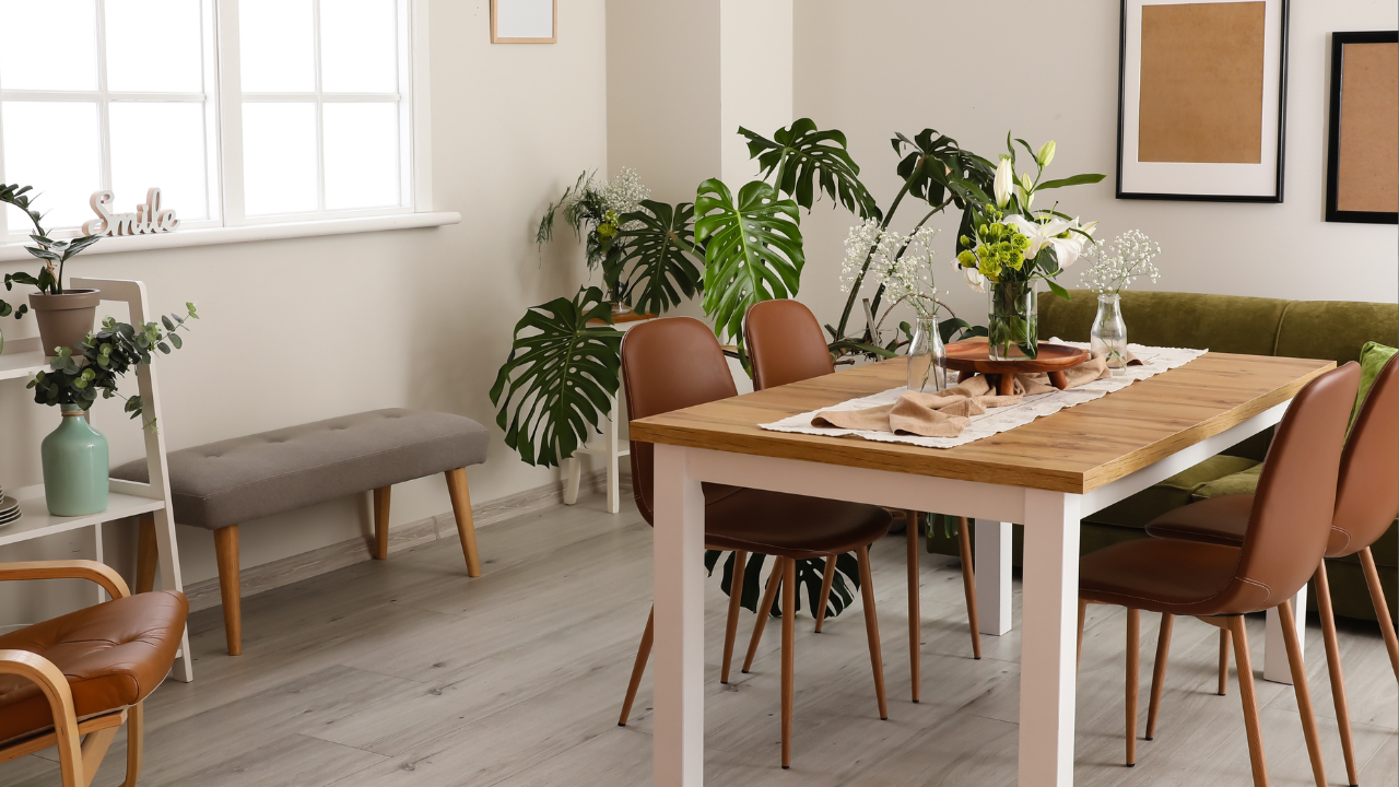 Plantas para quem quer começar um jardim dentro de apartamento